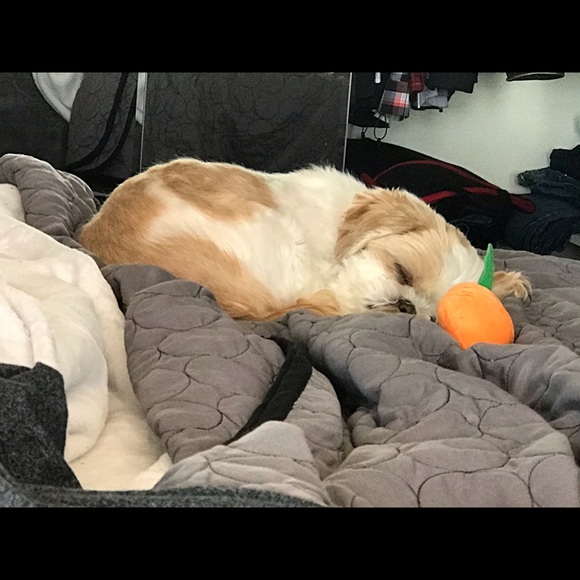 Meet your Posher, Sim - Picture 2 of 6